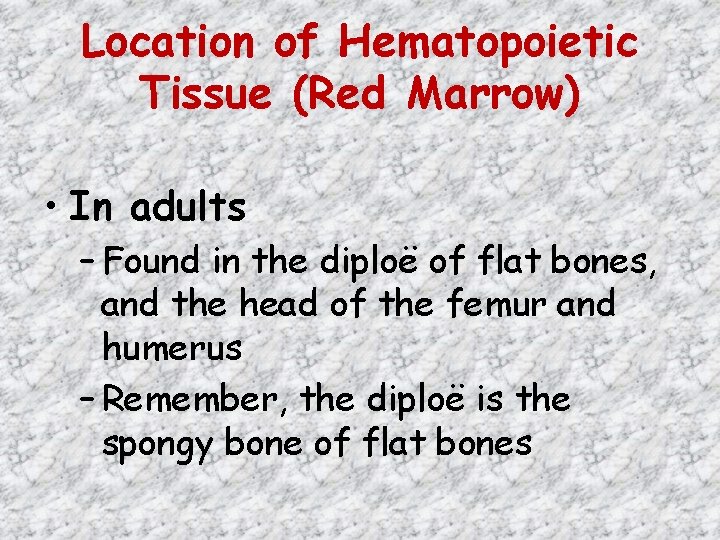 Location of Hematopoietic Tissue (Red Marrow) • In adults – Found in the diploë