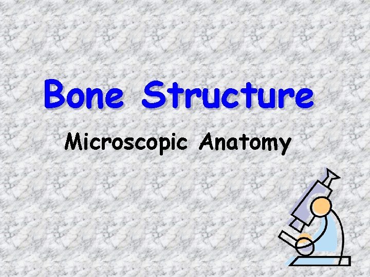 Bone Structure Microscopic Anatomy 