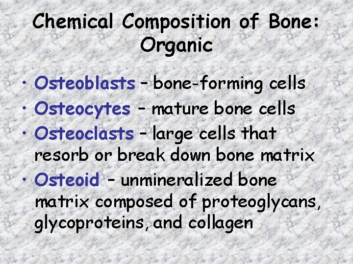 Chemical Composition of Bone: Organic • Osteoblasts – bone-forming cells • Osteocytes – mature
