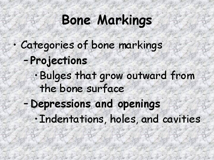 Bone Markings • Categories of bone markings – Projections • Bulges that grow outward