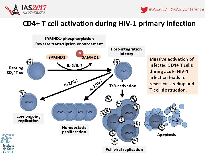 #IAS 2017 | @IAS_conference CD 4+ T cell activation during HIV-1 primary infection SAMHD
