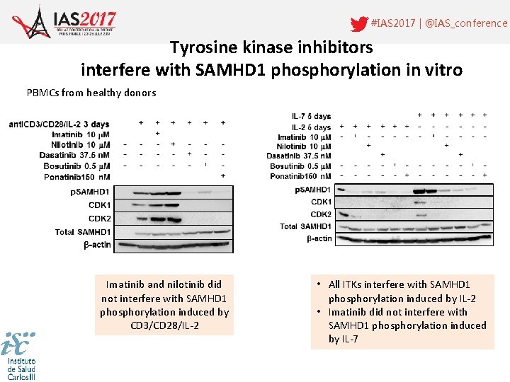 #IAS 2017 | @IAS_conference Tyrosine kinase inhibitors interfere with SAMHD 1 phosphorylation in vitro