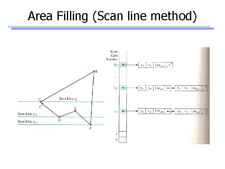 Area Filling (Scan line method) 