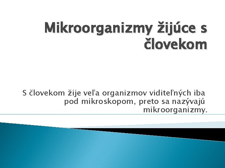 Mikroorganizmy žijúce s človekom S človekom žije veľa organizmov viditeľných iba pod mikroskopom, preto