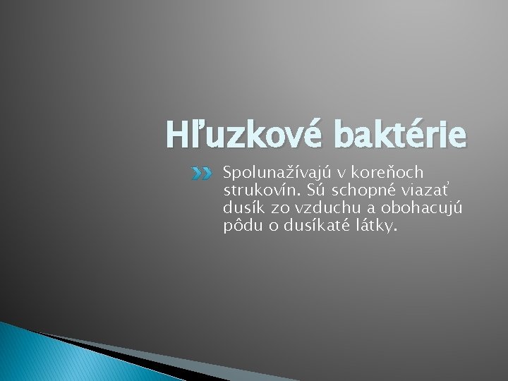 Hľuzkové baktérie Spolunažívajú v koreňoch strukovín. Sú schopné viazať dusík zo vzduchu a obohacujú