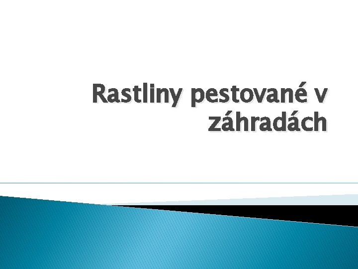 Rastliny pestované v záhradách 