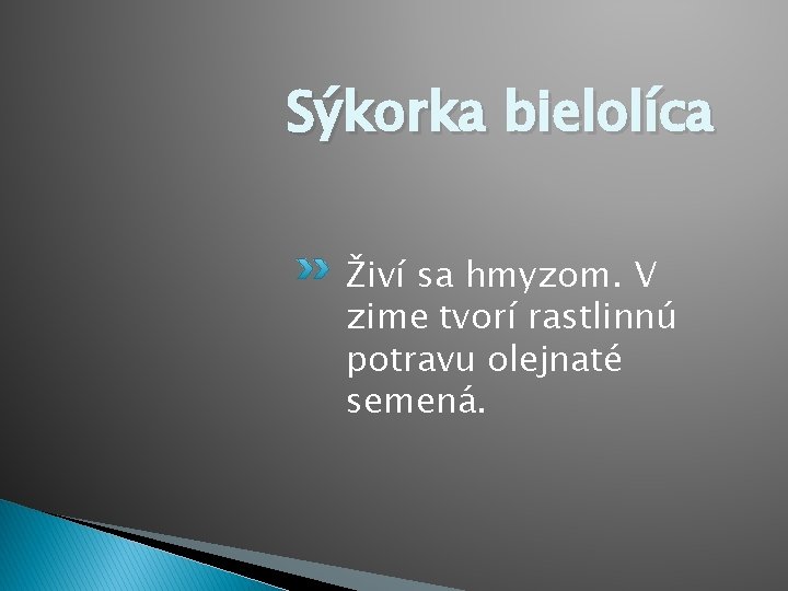 Sýkorka bielolíca Živí sa hmyzom. V zime tvorí rastlinnú potravu olejnaté semená. 