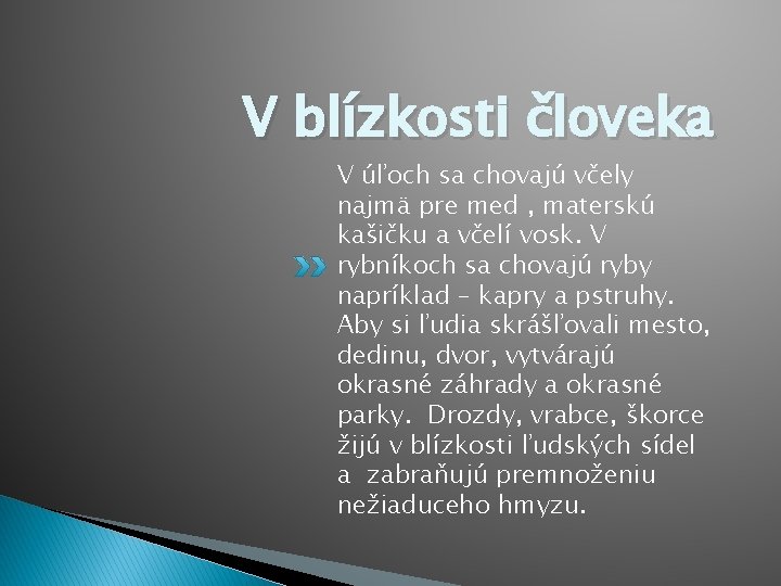 V blízkosti človeka V úľoch sa chovajú včely najmä pre med , materskú kašičku