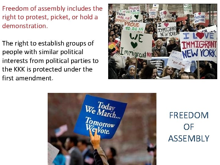 Freedom of assembly includes the right to protest, picket, or hold a demonstration. The