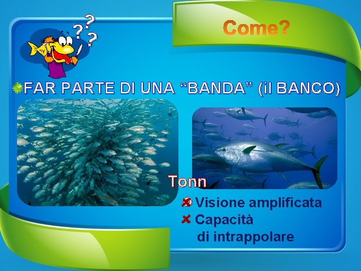 ? ? ? FAR PARTE DI UNA “BANDA” (il BANCO) Tonn o Visione amplificata