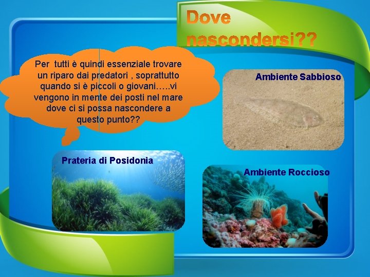 Per tutti è quindi essenziale trovare un riparo dai predatori , soprattutto quando si