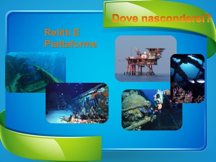 Relitti E Piattaforme 