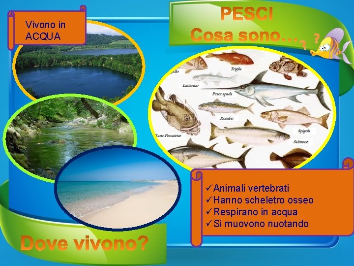 Vivono in ACQUA ? ? üAnimali vertebrati üHanno scheletro osseo üRespirano in acqua üSi