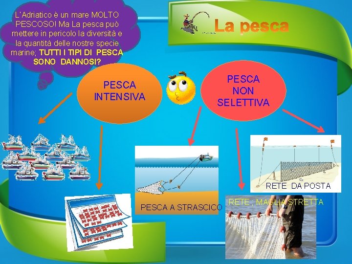 L’Adriatico è un mare MOLTO PESCOSO! Ma La pesca può mettere in pericolo la