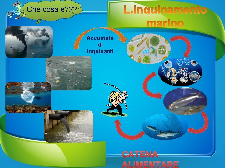 Che cosa è? ? ? Accumulo di inquinanti CATENA ALIMENTARE 