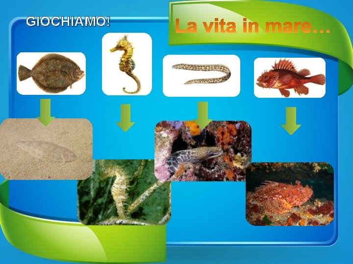 GIOCHIAMO! 