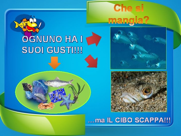 OGNUNO HA I SUOI GUSTI!!! …ma IL CIBO SCAPPA!!! 