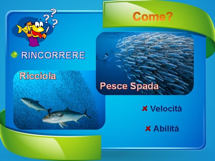 ? ? ? RINCORRERE Ricciola Pesce Spada Velocità Abilità 