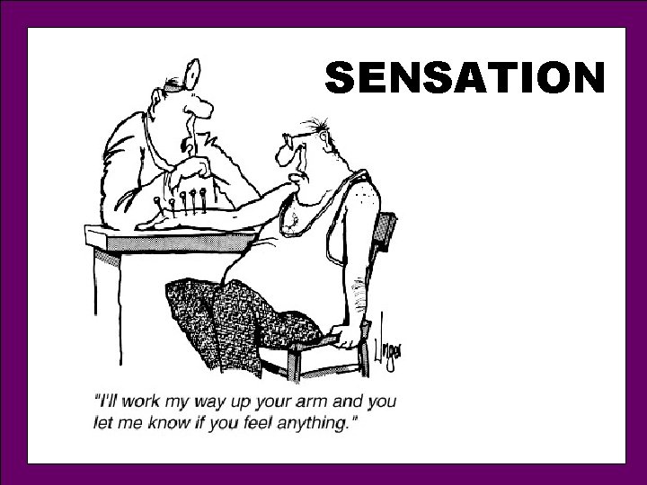 SENSATION 