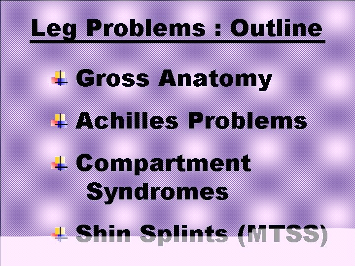 Leg Problems : Outline Gross Anatomy Achilles Problems Compartment Syndromes Shin Splints (MTSS) 