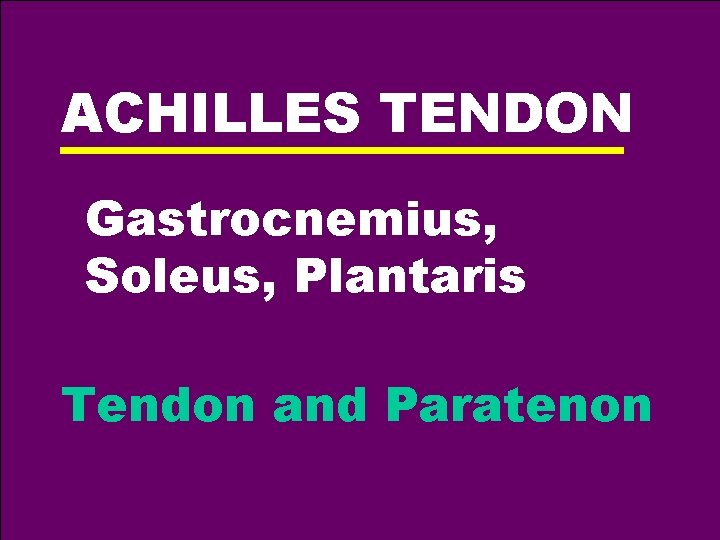 ACHILLES TENDON Gastrocnemius, Soleus, Plantaris Tendon and Paratenon 