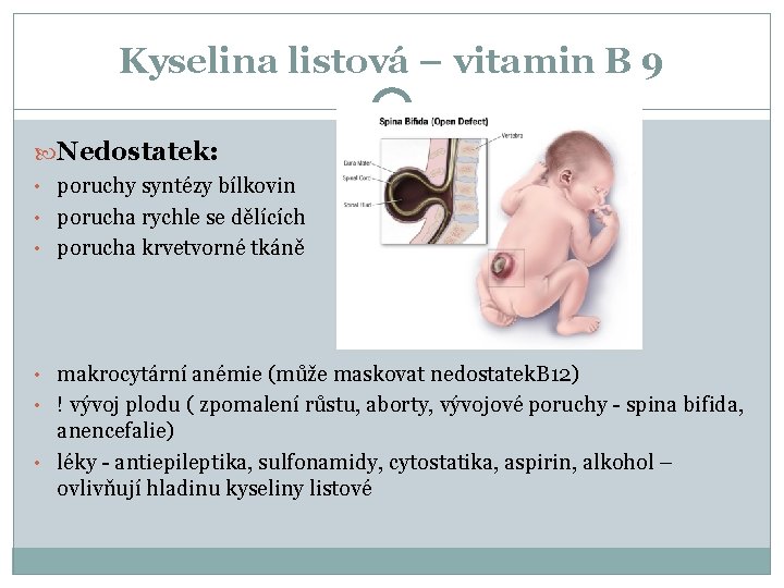 Kyselina listová – vitamin B 9 Nedostatek: • poruchy syntézy bílkovin • porucha rychle