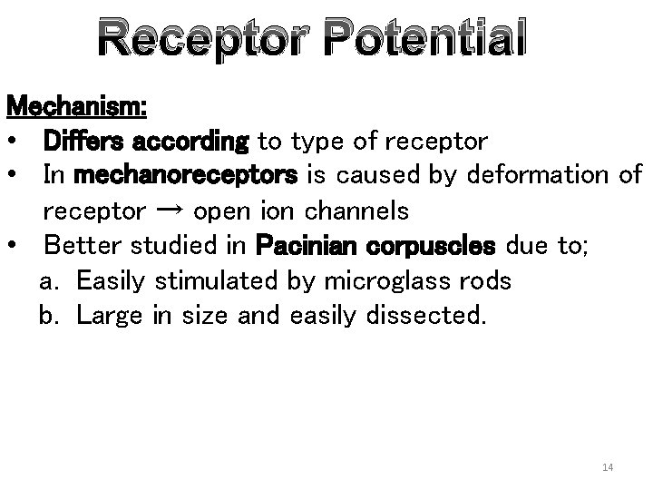 Receptor Potential Mechanism: • Differs according to type of receptor • In mechanoreceptors is