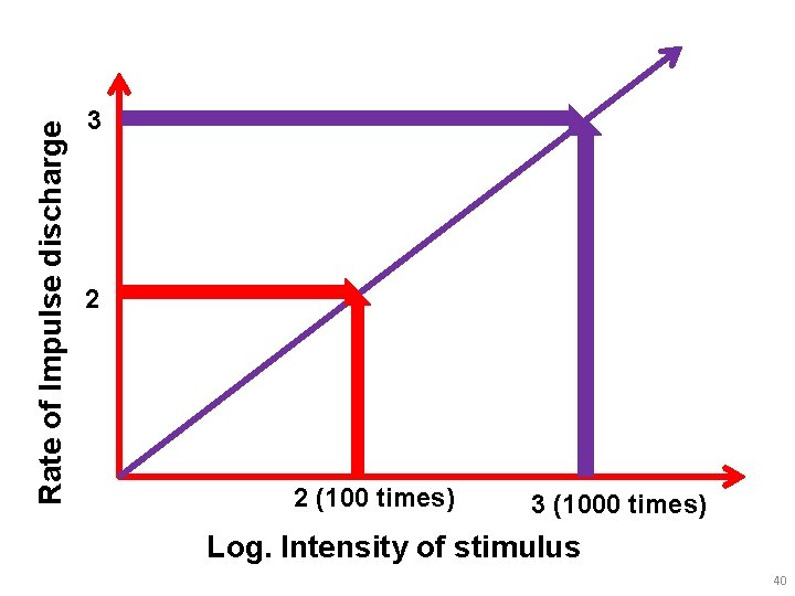 Rate of Impulse discharge 3 2 2 (100 times) 3 (1000 times) Log. Intensity