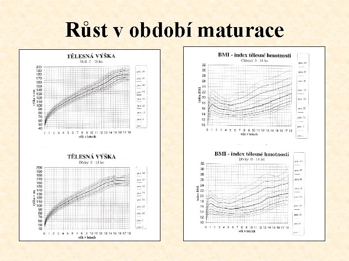 Růst v období maturace 