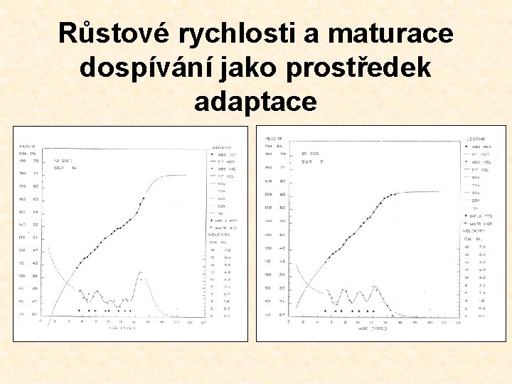 Růstové rychlosti a maturace dospívání jako prostředek adaptace 