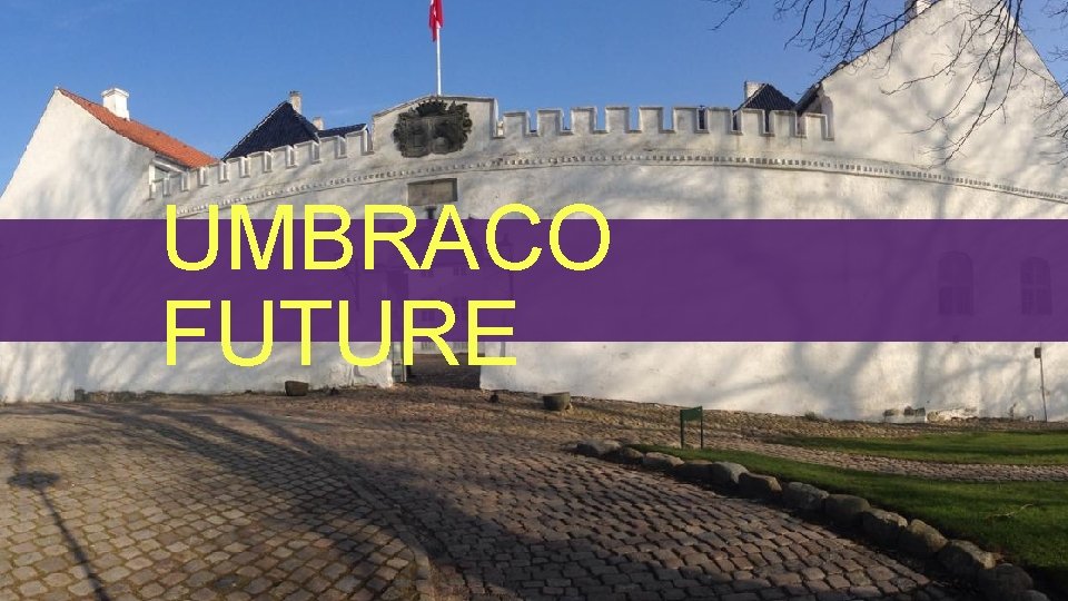 UMBRACO FUTURE 