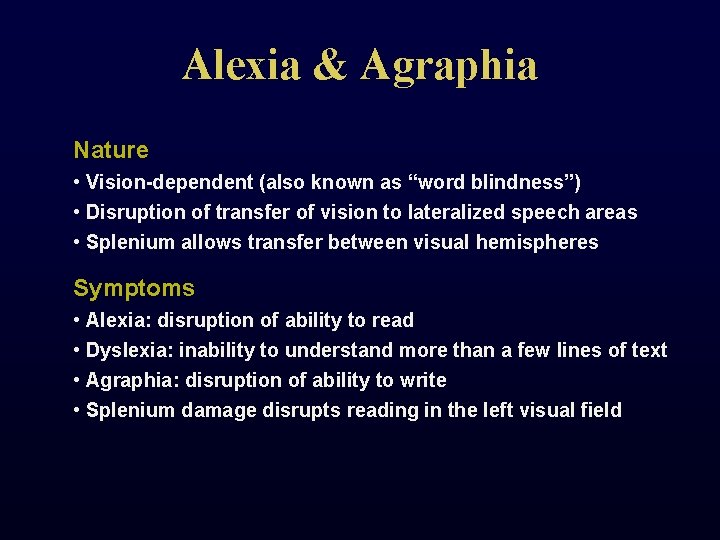Alexia & Agraphia Nature • Vision-dependent (also known as “word blindness”) • Disruption of