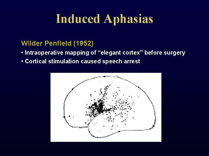 Induced Aphasias Wilder Penfield (1952) • Intraoperative mapping of “elegant cortex” before surgery •