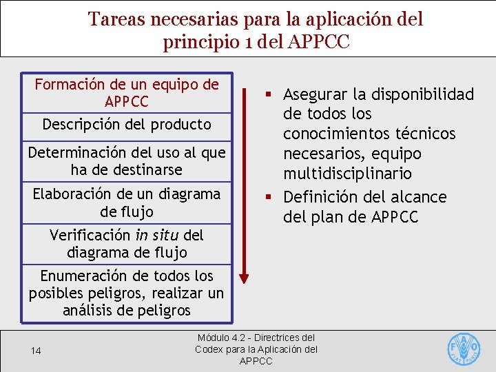 Tareas necesarias para la aplicación del principio 1 del APPCC Formación de un equipo