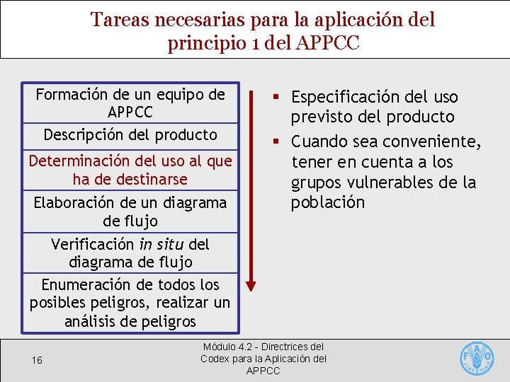 Tareas necesarias para la aplicación del principio 1 del APPCC Formación de un equipo