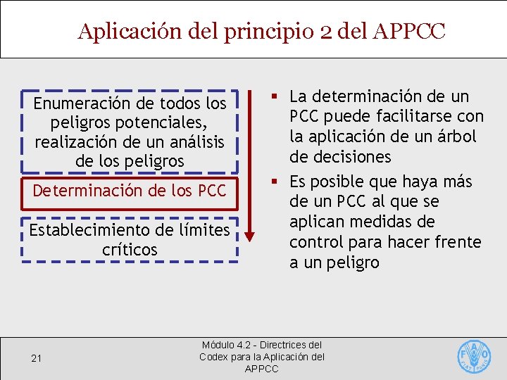 Aplicación del principio 2 del APPCC Enumeración de todos los peligros potenciales, realización de