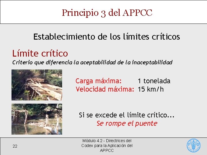 Principio 3 del APPCC Establecimiento de los límites críticos Límite crítico Criterio que diferencia