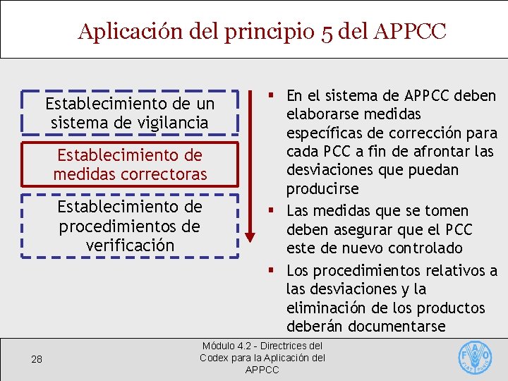 Aplicación del principio 5 del APPCC Establecimiento de un sistema de vigilancia Establecimiento de