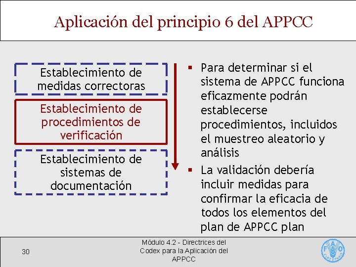 Aplicación del principio 6 del APPCC Establecimiento de medidas correctoras Establecimiento de procedimientos de