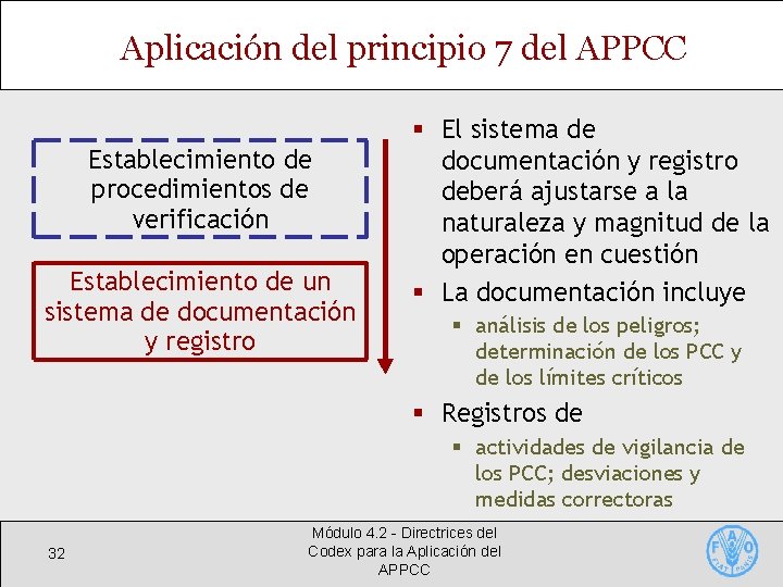 Aplicación del principio 7 del APPCC Establecimiento de procedimientos de verificación Establecimiento de un