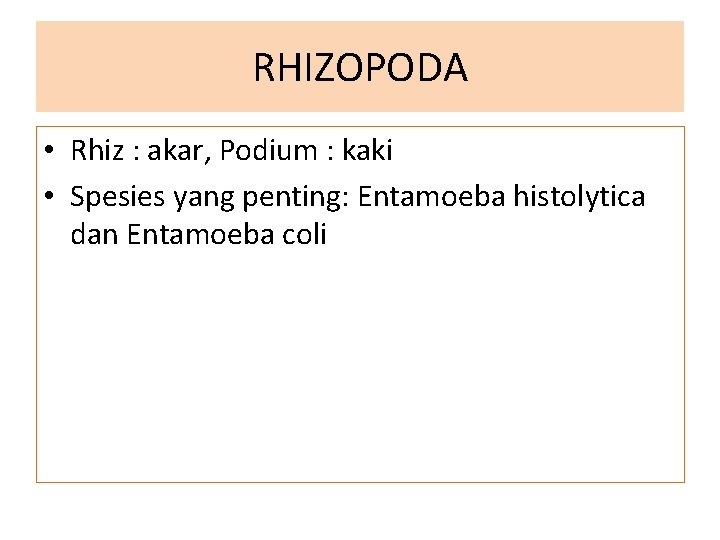 RHIZOPODA • Rhiz : akar, Podium : kaki • Spesies yang penting: Entamoeba histolytica