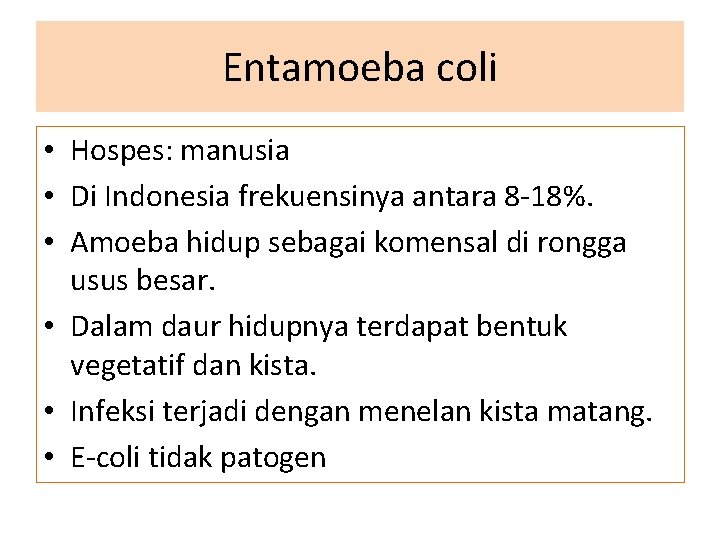 Entamoeba coli • Hospes: manusia • Di Indonesia frekuensinya antara 8 -18%. • Amoeba