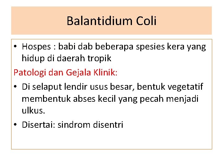 Balantidium Coli • Hospes : babi dab beberapa spesies kera yang hidup di daerah