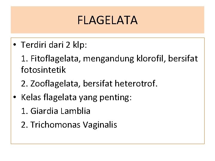 FLAGELATA • Terdiri dari 2 klp: 1. Fitoflagelata, mengandung klorofil, bersifat fotosintetik 2. Zooflagelata,