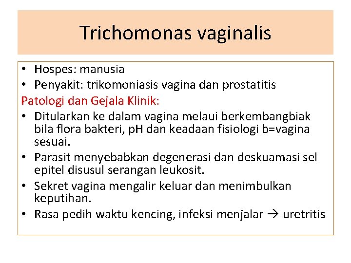 Trichomonas vaginalis • Hospes: manusia • Penyakit: trikomoniasis vagina dan prostatitis Patologi dan Gejala