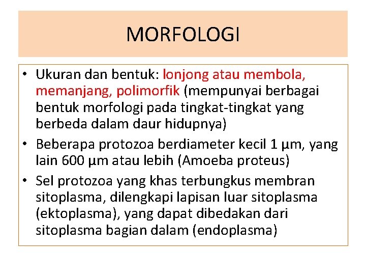 MORFOLOGI • Ukuran dan bentuk: lonjong atau membola, memanjang, polimorfik (mempunyai berbagai bentuk morfologi