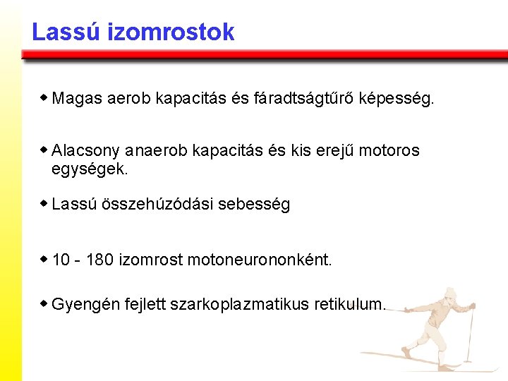 Lassú izomrostok w Magas aerob kapacitás és fáradtságtűrő képesség. w Alacsony anaerob kapacitás és