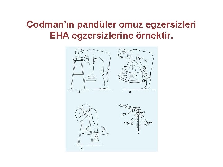 Codman’ın pandüler omuz egzersizleri EHA egzersizlerine örnektir. 