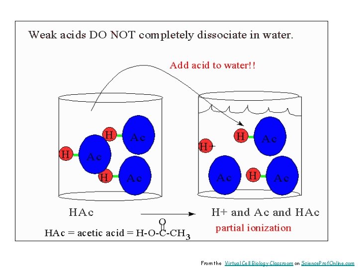 From the Virtual Cell Biology Classroom on Science. Prof. Online. com 