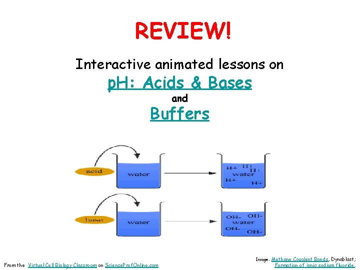 REVIEW! Interactive animated lessons on p. H: Acids & Bases and Buffers From the